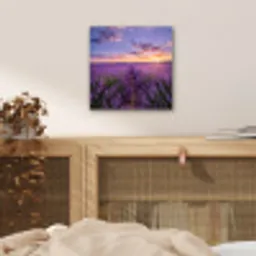 Lavendel - Veld - Natuur - Paars aluminium wit klein -sfeer3