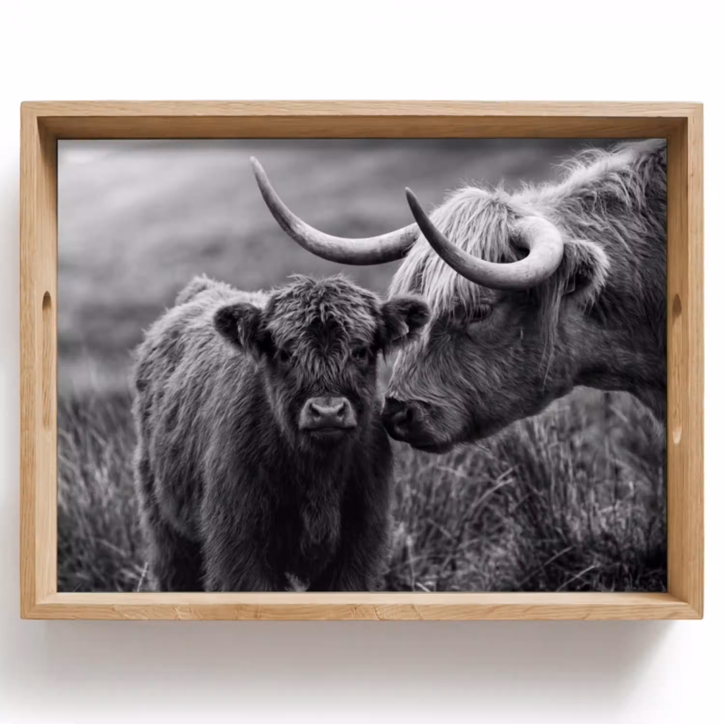 Schotse hooglander - Kalf - Zwart - Wit Dienblad Rechthoek middel -z3d_shopping