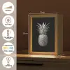 Ananas - Gedetailleerd - Bladeren Light Box met kabel (Tafellamp) klein -USP_NL