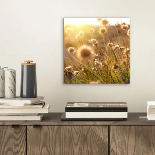 Planten - Natuur - Bloemen - Zon - Horizon aluminium wit klein -sfeer1