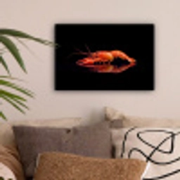Kreeft - Oranje - Zwart - Opvallend canvas 2cm klein -sfeer1