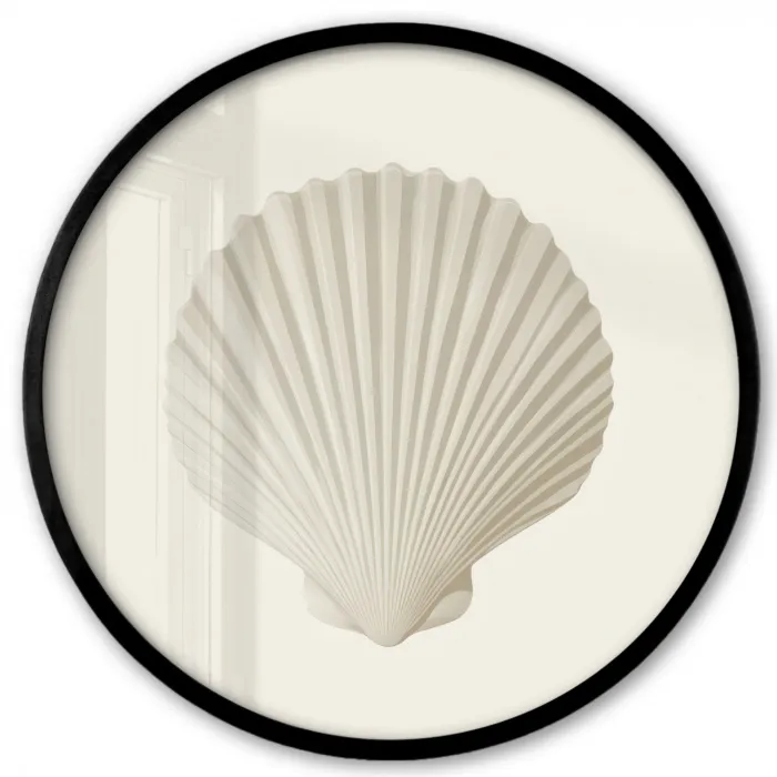 Schelp - Minimalistisch - Wit Fotolijst rond zonder passe partout klein -3d