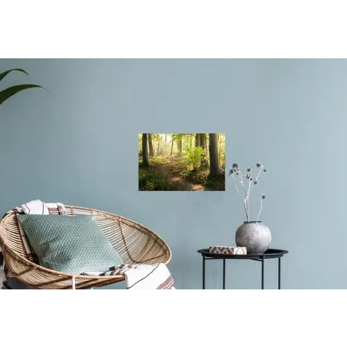 Bos - Bomen - Pad - Zon - Planten - Bladeren - Natuur Muursticker klein -plant