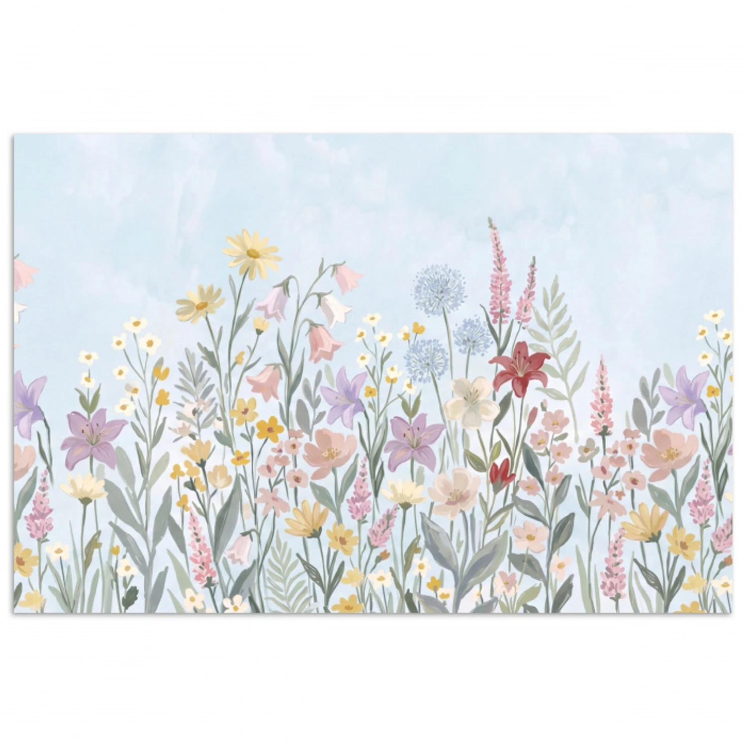 Weidebloemen - Illustratie - Kleurrijk poster papier klein -3d