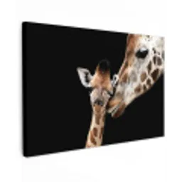 Giraffe - Dieren - Zwart - Portret - Dieren canvas 2cm klein -z3d