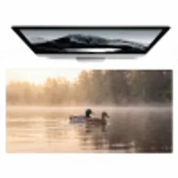 Eenden - Water - Mist - Natuur Muismat XXL klein -zzz3d