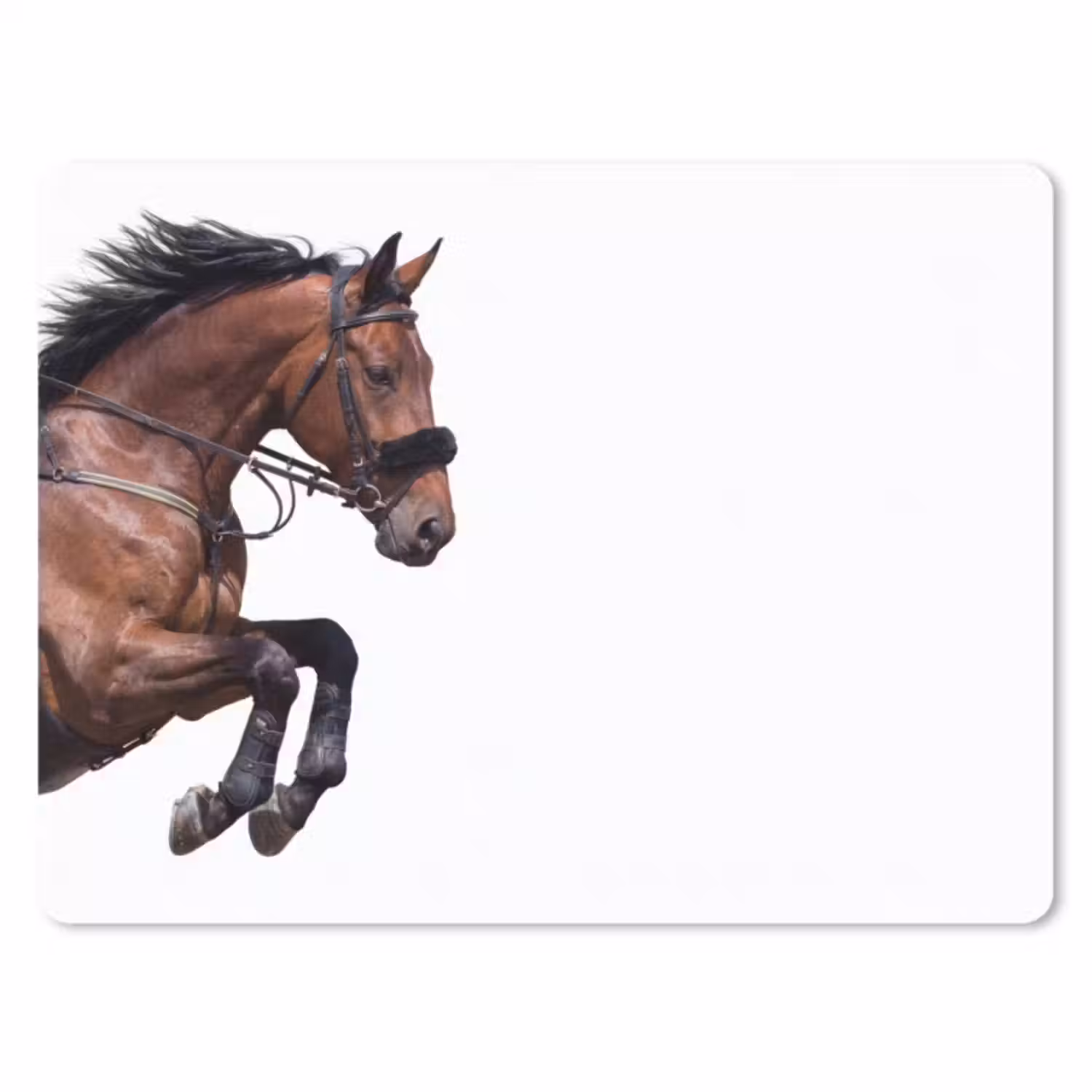 Muismat - Paard - Springen - Modern