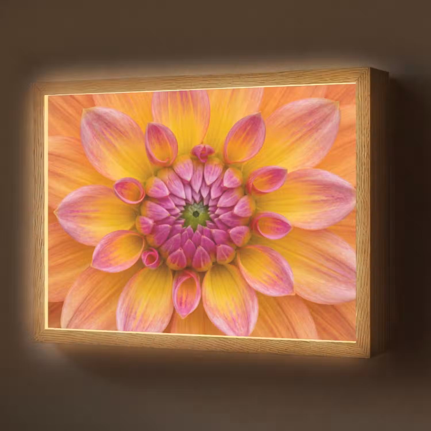 Lightbox - Wandlamp - Dahlia - Bloem - Oranje