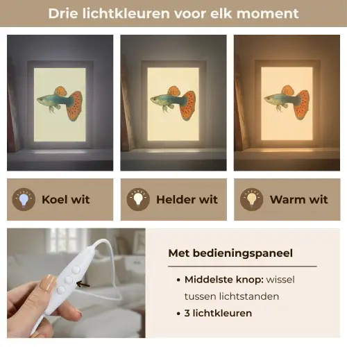 Vis - illustratie - Stippen - Oranje Light Box met kabel (Tafellamp) klein -USP_lichtkleurNL