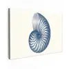 Blauw - Schelp - Spiraal canvas 2cm klein -z3d
