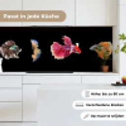 Vissen - Kleurrijk - Dieren keuken achterwand 2 middel -sfeer4_DE