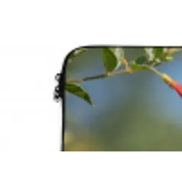 Kolibrie - Bloem - Natuur - Groen laptophoes neopreen klein -detail
