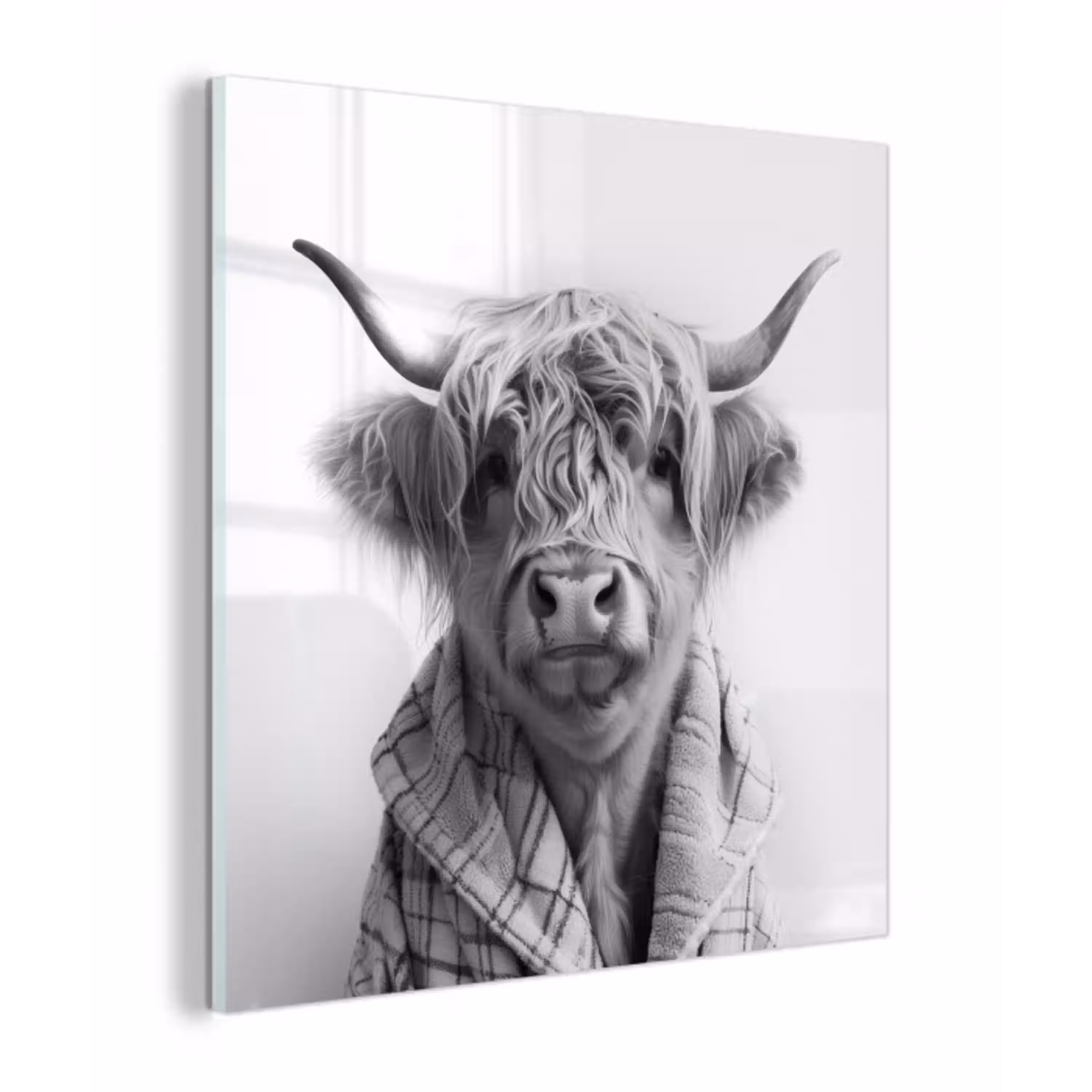Schotse Hooglander - Koe - Badjas - Zwart wit plexiglas 5mm klein -z3d