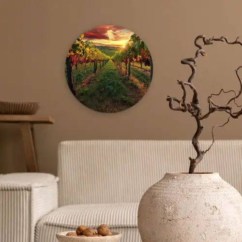 Wijngaard - Druiven - Zonsondergang Wandcirkel plexiglas klein -sfeer1