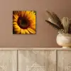 Geel - Zonnebloem - Zomers aluminium wit klein -sfeer4
