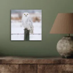 Sneeuwuil - Hek - Sneeuw - Wit aluminium wit klein -sfeer2