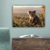 Koala - Bladeren - Ochtendlicht canvas 2cm klein -sfeer4