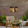 Leeuwin - Gras - Geel Tuinposter op houten frame 2 cm dik klein -sfeer3