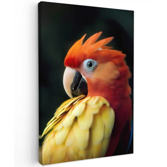 Close-up - Papegaai - Veren - Oranje Tuinposter op houten frame 2 cm dik klein -3d