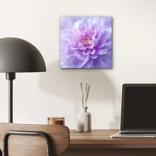 Paars - Dahlia - Dromerig aluminium wit klein -sfeer5