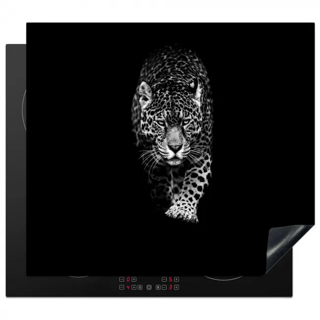 Inductie beschermer - Nadering in de Schaduw