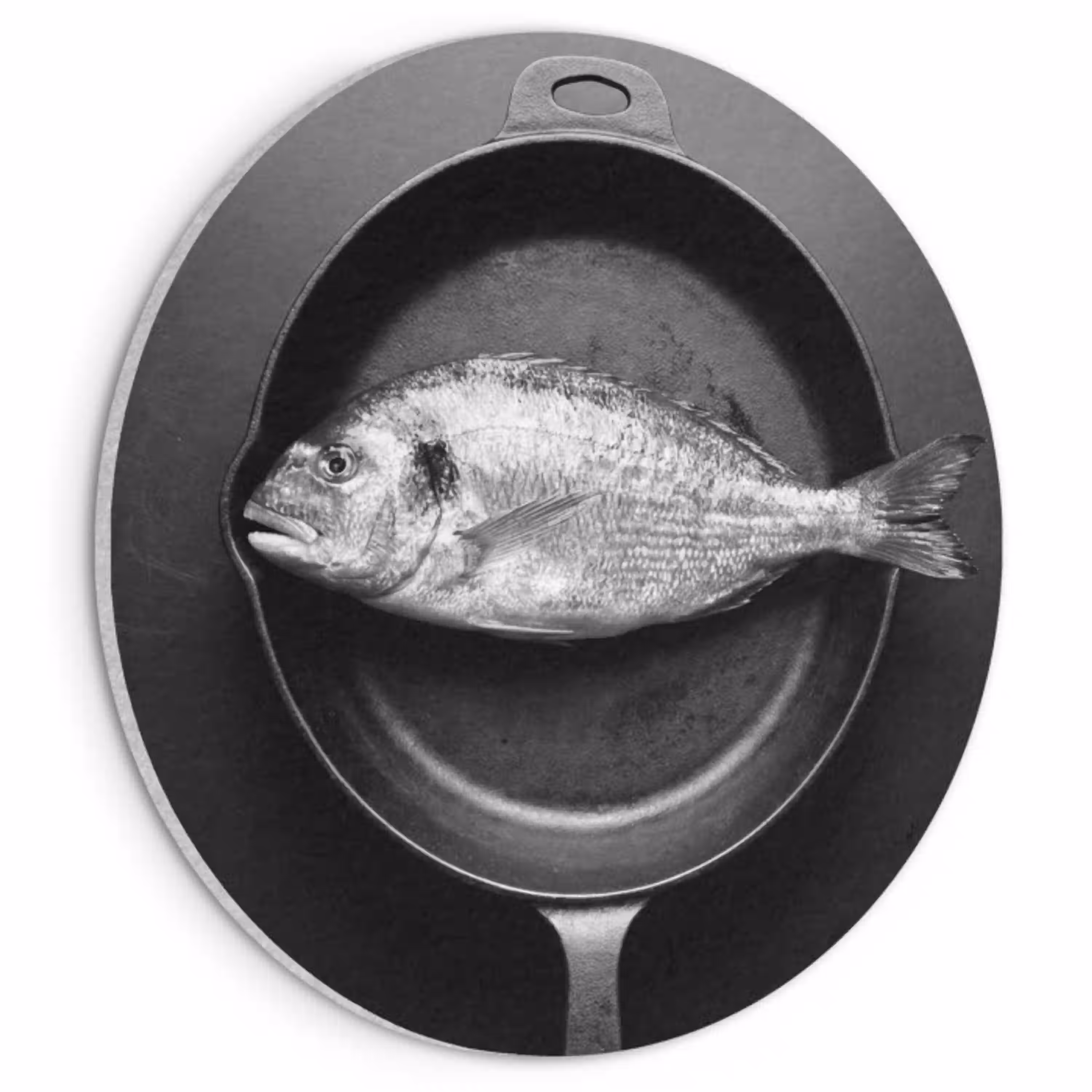 Pan - Vis - Zwart - Wit Akoestische PET Vilt - Rond klein -3d