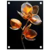 Bloem - Orchidee - Oranje tuinposter los doek klein -3d