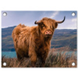 Hooglander bij het Meer tuinposter los doek klein -3d