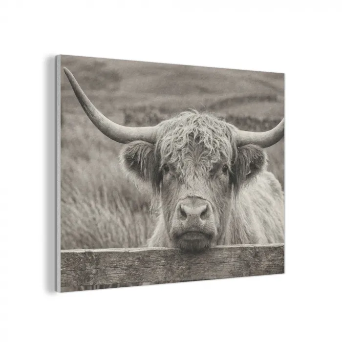 Schotse hooglander - Zwart - Wit - Hout PET vilt klein -3d