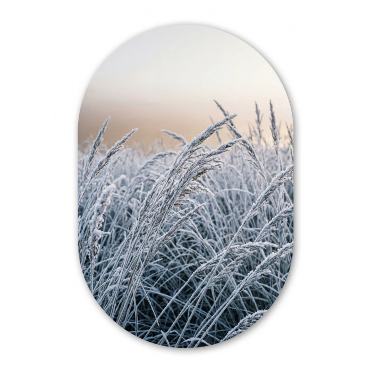 Rijp - Gras - Kristallen - Winter - Minimalistisch Wandcirkel Ovaal Forex klein -3d
