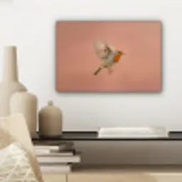 Roodborst - Natuur - Roze canvas 2cm klein -sfeer6