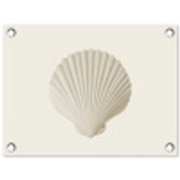 Schelp - Minimalistisch - Wit tuinposter los doek klein -3d