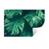 Monstera - Bladeren - Planten - Jungle - Natuur Muursticker klein -3d