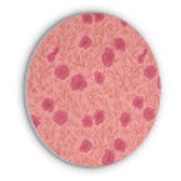 Weidebloemen - Romantisch - Roze Akoestische PET Vilt - Rond klein 838 -3d