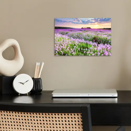 Lavendel - Bloemen - Zonsondergang - Paars - Weide poster papier klein -sfeer1