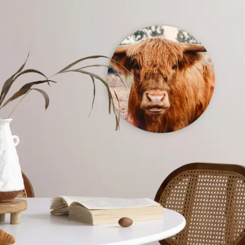 Koe- Schotse hooglander - Hoorns - Bruin - Landschap Wandcirkel kunststof plaat 5mm dik klein -sfeer4