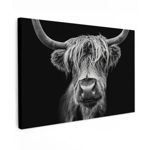 Schotse Hooglander - Horens - Zwart - Wit - Koe - Wild - Dieren canvas 2cm klein -z3d
