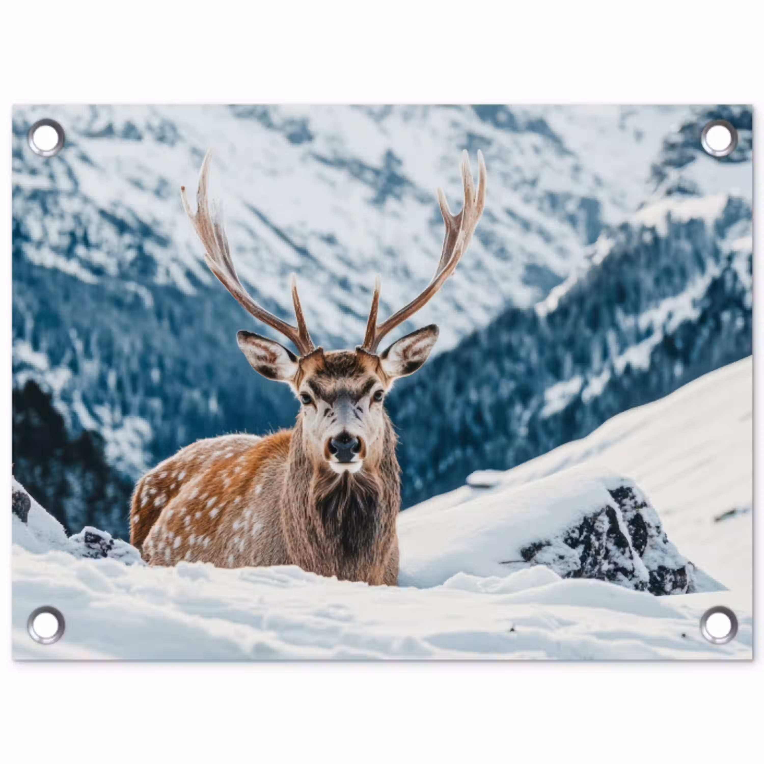 Hert - Landschap - Winter - Natuur - Dieren - Bergen tuinposter los doek klein -3d