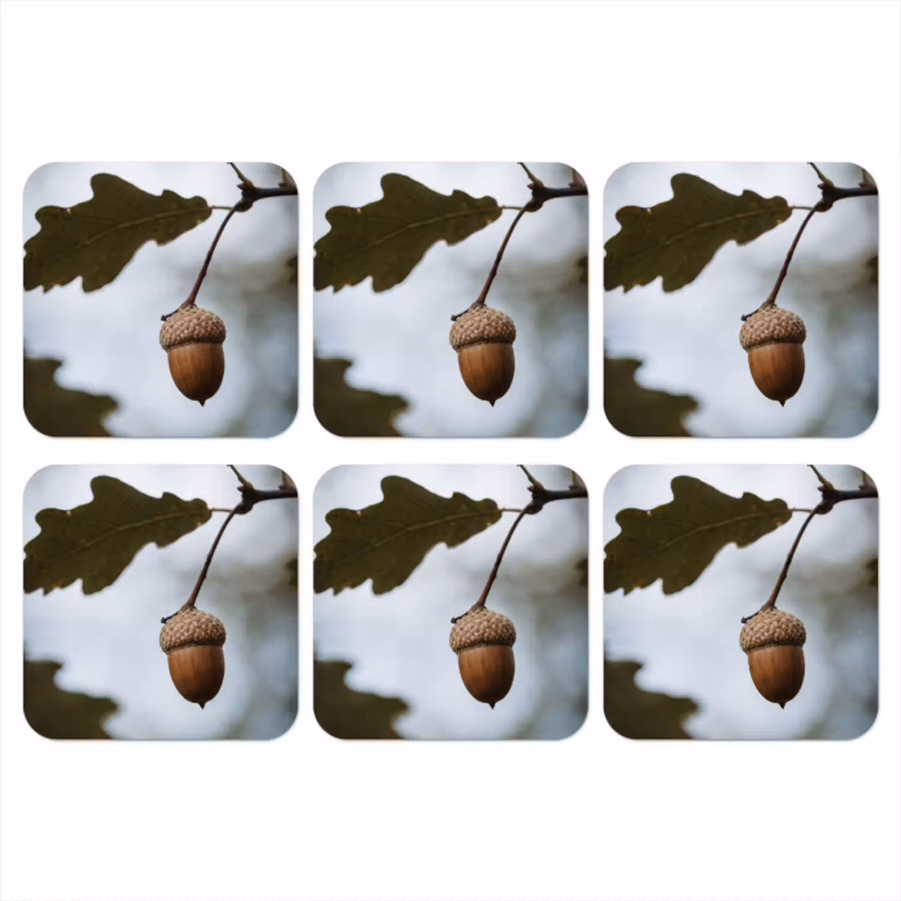 Eikel - Eikenblad - Bos - Herfst - Natuur onderzetter kurk middel -3d