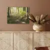 Bos - Bomen - Pad - Zon - Planten - Bladeren - Natuur PET vilt klein -sfeer4