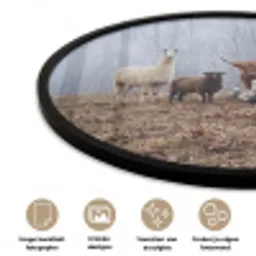 Boerderijdieren - Groep - Mist - Natuur - Rustiek Fotolijst rond zonder passe partout klein -closeup_NL