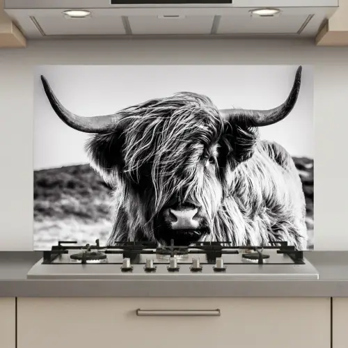 Koe - Schotse hooglander - Zwart - Wit - Dier - Natuur - Wild keuken achterwand spatscherm klein -3d_website