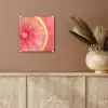 Grapefruit - Roze - Levendig plexiglas 5mm klein -sfeer5
