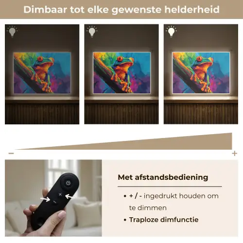 Kikker - Felgekleurd - Tak - Regenboog Light Box met batterij (Wandlamp) middel -USP_dimbaarNL