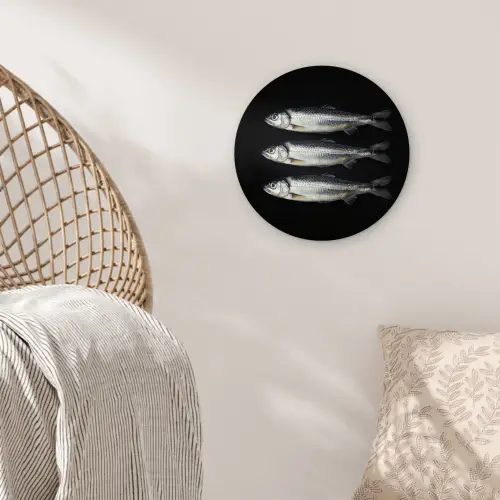 Haring - Vissen - Zwart Wandcirkel plexiglas klein -sfeer5