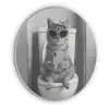 Kat - Telefoon - Toilet - Zwart - Wit Akoestische PET Vilt - Rond klein -3d