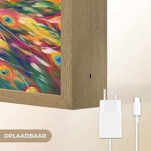Pauw - Dieren - Schilderij - Regenboog Light Box met batterij (Wandlamp) middel -USP_websiteoplaadbaarNL