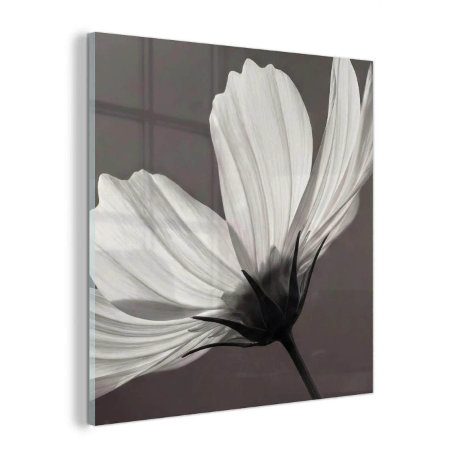 Bloem - Minimalistisch - Zwart - Wit plexiglas 5mm klein -z3d