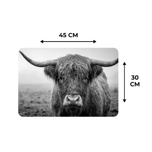 Schotse hooglander - Zwart - Wit - Gras Placemat vinyl groot -specs