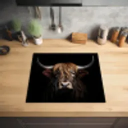 Nachtwacht van de Hooglanden Inductie beschermer vinyl 3mm middel -sfeer5